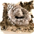 Copy_of_5adriannealusha_ceramicbrain