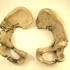 Copy_of_9adriannealusha-ceramicpelvis