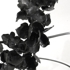 Copy_of_13adriannealusha_ladyinbloomclose-up