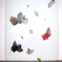 Elaboyd_crystalstudy2