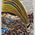 Pettibon