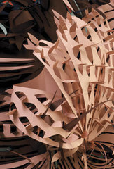 "Pink Rosa"  detail.,Simone Lourenço