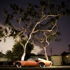 Parkedinthered