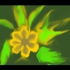 Floral_essence
