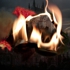 Stoneonstonevideostill1-500x500