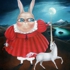 Lovely_pet_1200