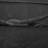 Limber__1999_copy