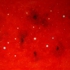 Starbirth_4__medium_