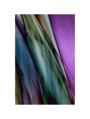 Abstract001