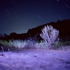 Kellogg_garrett_02