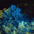Garrettkellogg_a_colorscape_2008