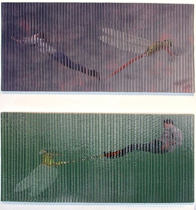 Flying-falling