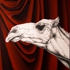 Camel_behind_curtaincrop