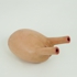 Multifunctional_body2