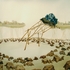 Limited_possibilities_casey