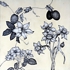 Timothy_berry_be2dark_fruits72_600