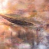 33_btn