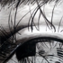 4_x5__reflection3_copy