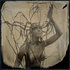Gethsemane_merfeld__flazh-2