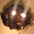 Monkeysmall
