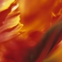 Energy_5x7