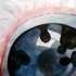 4_x5__reflection4_copy