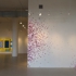 Shutan_pink_burst2__2009