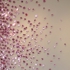 Shutan_pink_burst_detail_09