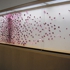 Shutan-pink_surge_1