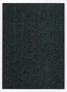 Dm-30