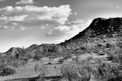 Arizona_0909_5bw