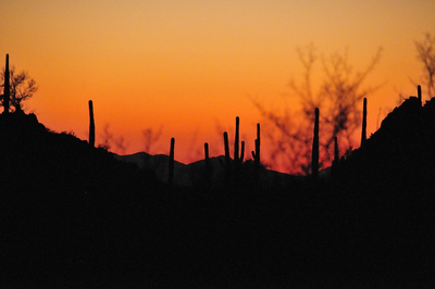Arizona_0909_104small