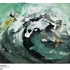 Summer_wave_breaking_-_cropped