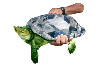 ,