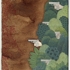 Cf001894
