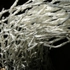 Futurearts