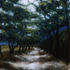 Boulevard