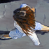 04_getty_sandal_girl