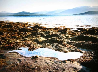  LYING-ON-THE-GROUND III [ SURROGATE NOTATIONS ],Sonia Khurana