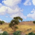 Stephen-mirich-morning-breeze-portuguese-bend_oc_9x12