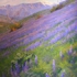 Alexey-steele-purple-wonder-irvine-land-preserve