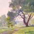 Field-study
