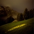 01-underwood_norquayyellow
