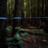 20-underwood_blueline