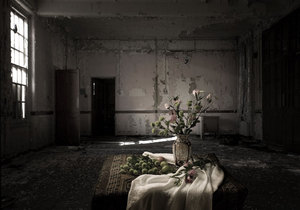 The-trespasser