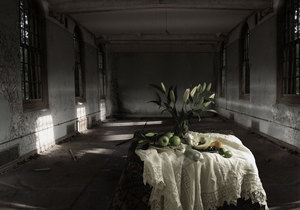 The-trespasser