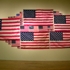 Adam_farcus_-_raised_american