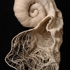 Carol_shaw-sutton_-_the_white_sound_-_vessels