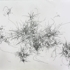 Systems_1e