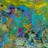 Reef_20001